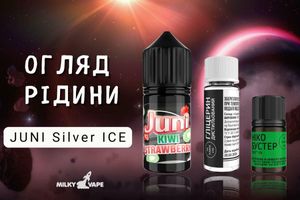 JUNI Silver ICE: Вкусовая гармония для под-систем ежедневно фото