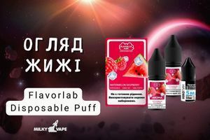 Они выглядят как одноразки, но это не так! Тестируем Flavorlab Disposable 10ml фото